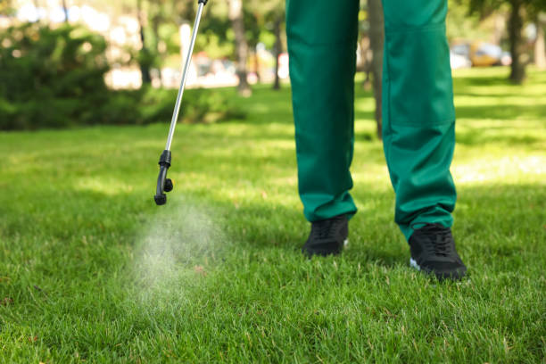 Best Pest Control Treatment  in USA